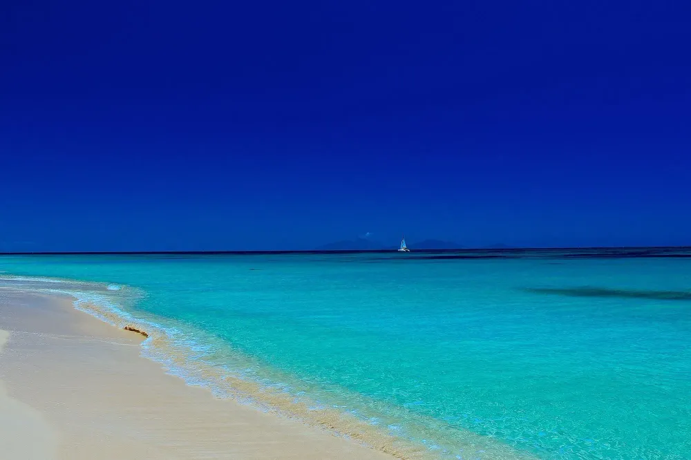 caribbean beach with sailboat